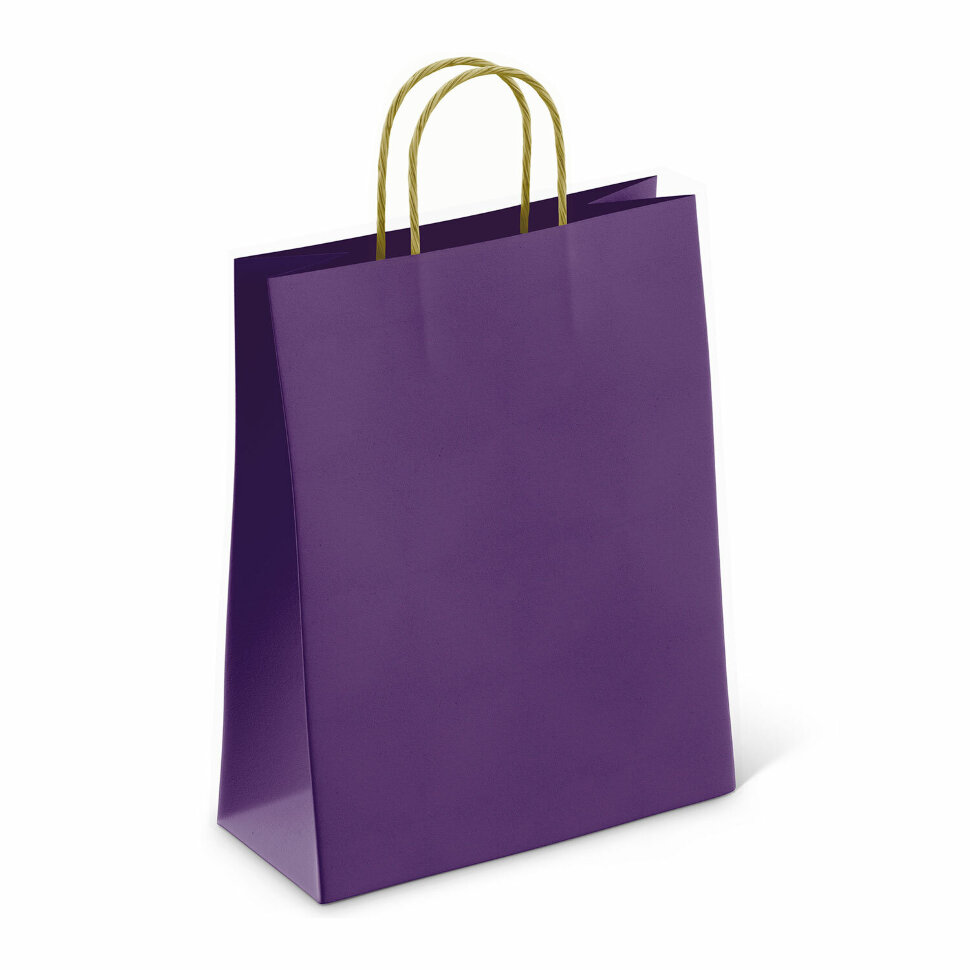 Крафт-пакет бумажный "Dark violet" 26х15х35 см, с кручеными ручками, 80 г/м2, моноцвет, 112405, 50 штук, 701003