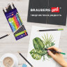 Карандаши художественные цветные BRAUBERG ART CLASSIC, 12 цветов, МЯГКИЙ грифель 3,3 мм, 181536, 181536