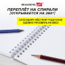 Скетчбук, белая бумага 100 г/м2, 140х201 мм, 60 л., гребень, жёсткая подложка, BRAUBERG ART DEBUT, "Котик!", 115062, 115062