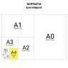 Цветная бумага А4 газетная, 24 листа, 12 цветов, на скобе, ПИФАГОР, 200х280 мм, "Мишка с Пчелами", 115484, 115484
