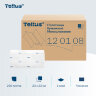 Полотенца бумажные 250 шт., Tellus/TORK (H3) UNIVERSAL, КОМПЛЕКТ 20 пачек, белые, 23х23 см, V-сложение, 120108, 124556