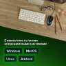 Мышь проводная SONNEN B61, USB, 1000 dpi, 2 кнопки + колесо-кнопка, оптическая, черная, 513513, 513513
