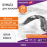 Папка для рисования А4, 20 л., 160 г/м2, BRAUBERG, 210х297 мм, "Орел", 125230, 125230