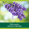 Гель для душа 750 мл, PALMOLIVE АРОМА НАСТРОЕНИЕ "Твое расслабление", 8693495047463, 609033