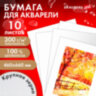 Бумага для акварели 300 г/м2 460x660 мм крупное зерно, 10 листов, BRAUBERG ART PREMIERE, 113234, 113234