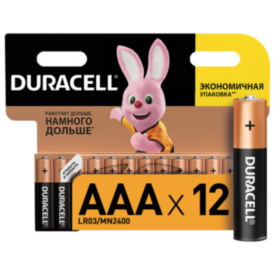 Батарейки КОМПЛЕКТ 12 шт., DURACELL Basic ОРИГИНАЛ, AAA (LR03, 24А), алкалиновые, мизинчиковые, 451362