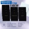 Тетради предметные, КОМПЛЕКТ 12 ПРЕДМЕТОВ, 48 л., Soft-Touch, 3D-фольга, BRAUBERG, "BLACK GOLD", 405602, 405602