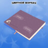 Скетчбук, слоновая кость 140 г/м2, 130х210 мм, 80 л., софт-тач, резинка, наклейки, FUNSTER (ФАНСТЕР), "Таро", 117785, 117785