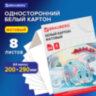 Картон белый А4 немелованный (матовый), 8 листов, в папке, BRAUBERG, 200х290 мм, "Барсик 1", 129902, 129902