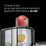 Соковыжималка POLARIS PEA 0829 Fruit Fusion, 800 Вт, стакан 0,35 л, емкость жмыха 1 л, пластик, сталь/черный, 15935, 456738