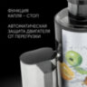 Соковыжималка POLARIS PEA 0829 Fruit Fusion, 800 Вт, стакан 0,35 л, емкость жмыха 1 л, пластик, сталь/черный, 15935, 456738