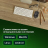 Мышь проводная SONNEN М-713, USB, 1000 dpi, 2 кнопки + колесо-кнопка, оптическая, черная, 512637, 512637