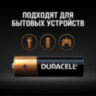 Батарейки КОМПЛЕКТ 10 шт., DURACELL Basic ОРИГИНАЛ, AA (LR6, 15А), алкалиновые, пальчиковые, 456786
