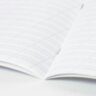 Тетрадь пластиковая обложка (прозрачная) 12 листов, косая линия, BRAUBERG "Smart Cover", АССОРТИ (микс в спайке), 405024, 70 штук, 405024