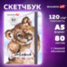 Скетчбук, белая бумага 120 г/м2, 145х203 мм, 80 л., резинка, твердый, BRAUBERG ART DEBUT "Львёнок", 114585, 114585