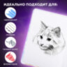 Скетчбук, белая бумага 120 г/м2, 145х203 мм, 80 л., резинка, твердый, BRAUBERG ART DEBUT "Львёнок", 114585, 114585