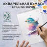 Папка для акварели А4, 20 л., "ГАРМОНИЯ", зерно, 200 г/м2, бумага ГОЗНАК, BRAUBERG ART CLASSIC, 112320, 112320