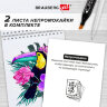 Скетчбук для маркеров, бумага 160 г/м2, 210х297 мм, 50 л., гребень, подложка, BRAUBERG ART CLASSIC, "Неон", 115077, 115077