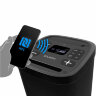 Колонка портативная SVEN PS-950, 160 Вт, TWS, Bluetooth, FM, USB, microSD, LED-дисплей, черная, SV-022396, 513972
