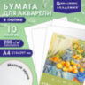 Папка для акварели А4, 10 л., 200 г/м2, 210х297 мм, BRAUBERG АКАДЕМИЯ, "Апельсины", 117743, 117743
