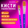 Кисти художественные набор 2 шт, синтетика (плоские №14, 18), BRAUBERG ART DEBUT, 201038, 201038