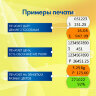 Этикет-пистолет двухстрочный, прямоугольная и волнистая лента 26x16 мм, 2х10 символов, BRAUBERG, 290438, 290438