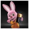 Батарейки КОМПЛЕКТ 2 шт., DURACELL Basic ОРИГИНАЛ, D (LR20, 13А), алкалиновые, блистер, MN 1300D LR20, 450401