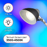 Настольная лампа / светильник SONNEN PH-104, на подставке, LED, 8 Вт, металлический корпус, черный, 236690, 236690