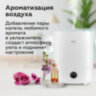 Увлажнитель воздуха BQ (БИ-КЬЮ) HDR2003, объем бака 3 л, 23 Вт, аромаконтейнер, белый, 86196449, 457549